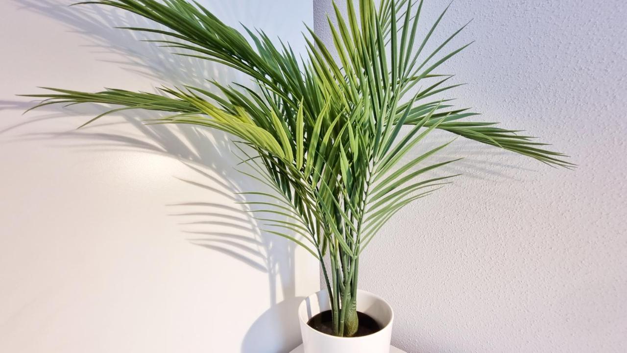 Chez Jm - Calme - Chic - Fibre - Relax Bnb Mylhúzy Exteriér fotografie